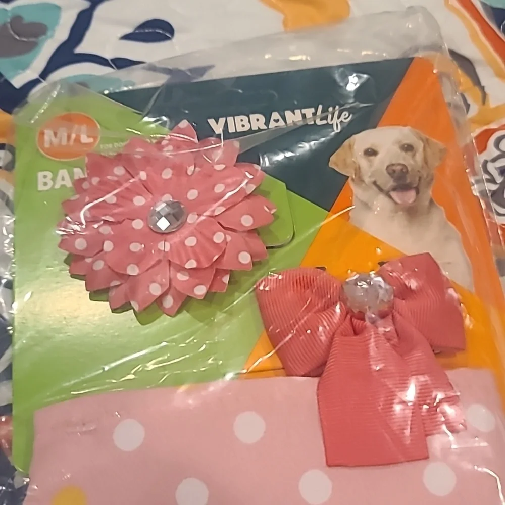 ❤️10/$13 New girls just wanna have fun dog bandana and clips